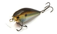 Воблер Lucky Craft LC 1.5 Gizzard Shad